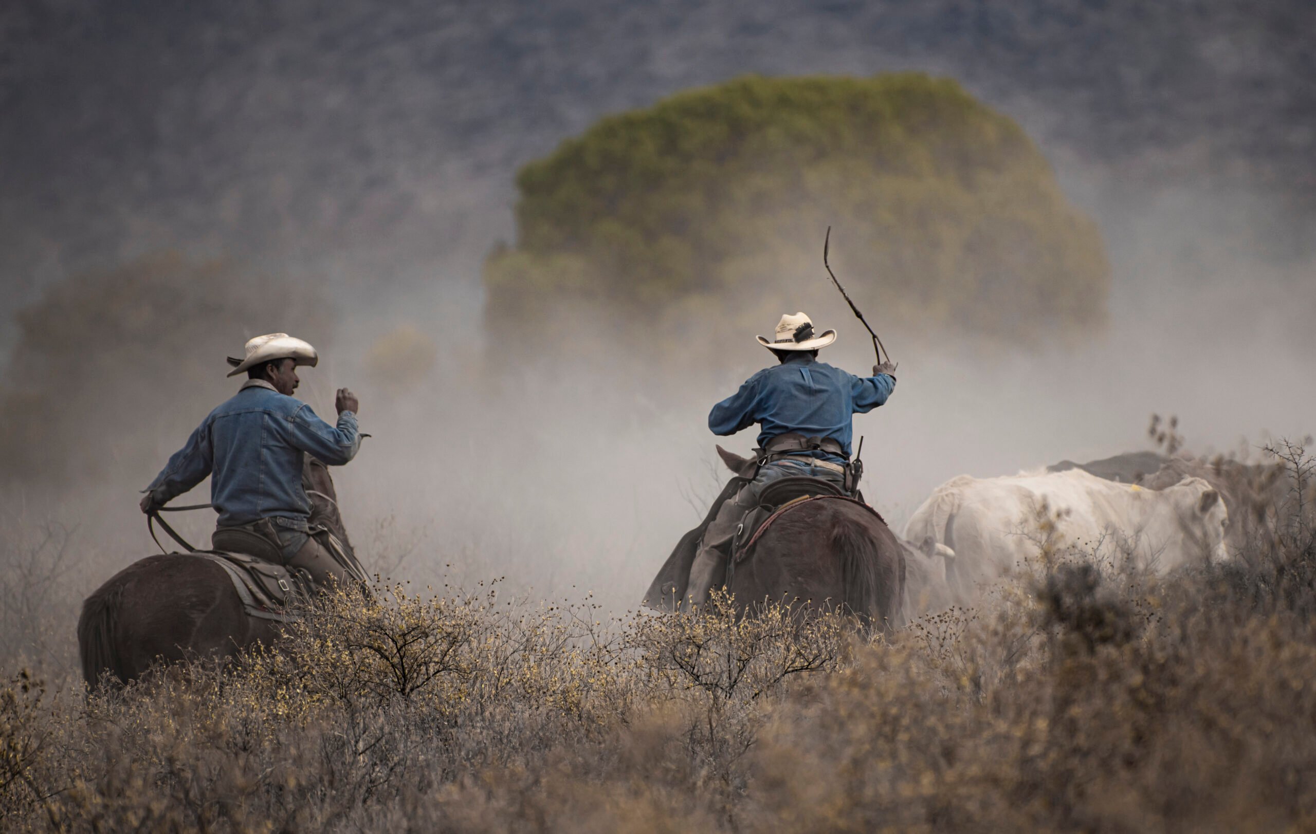 El Oficio del Vaquero