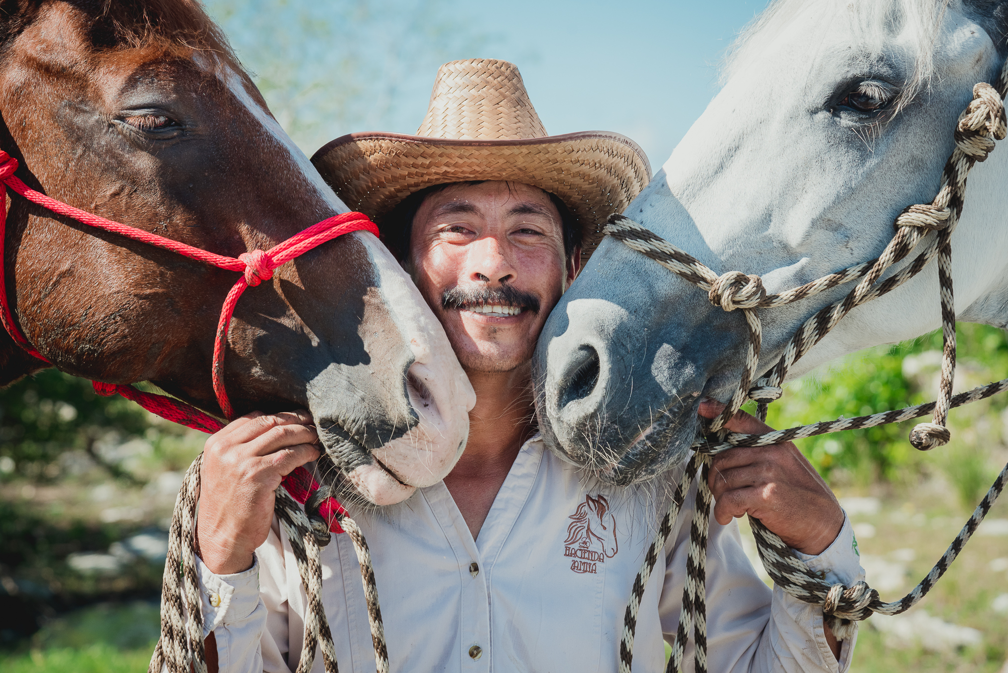 El Sr. de los Caballos