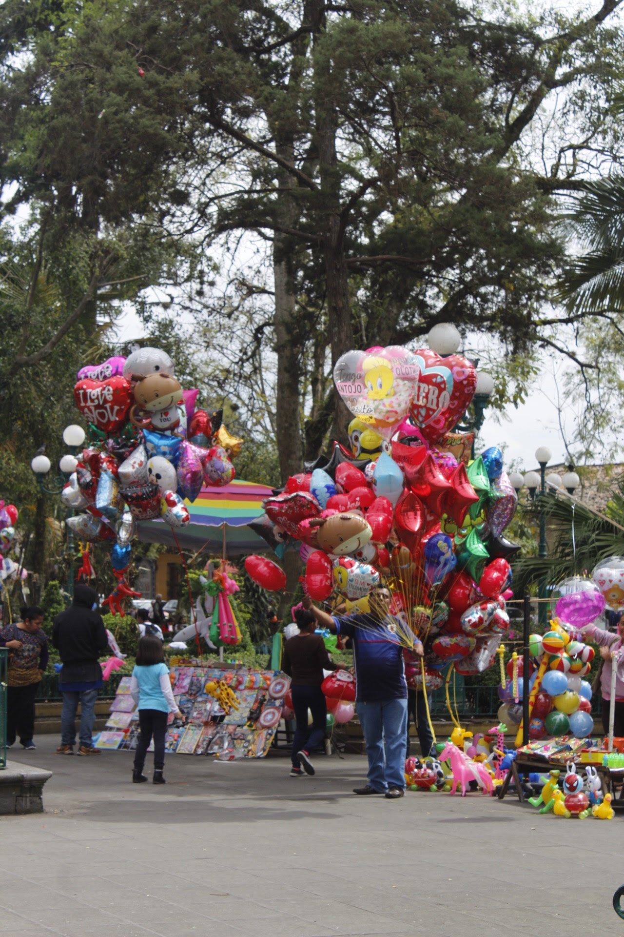 Tardes en Coatepec